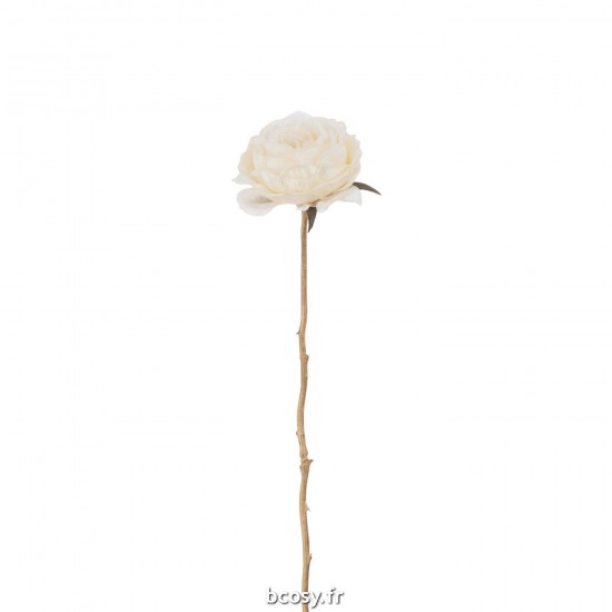 J Line Rose 1 Tige Plastique Crème Or JLine 37573 by Jolipa 37573.