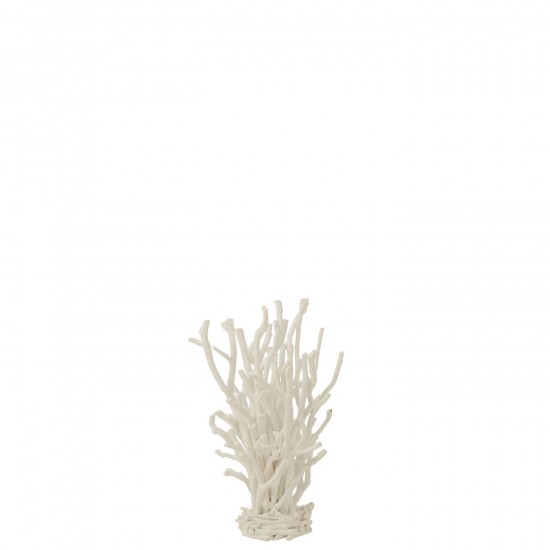 J-Line J Line La nature Photo de nature Photos de la nature Jolipa Decoration Bois Arbre A The Blanc Small.