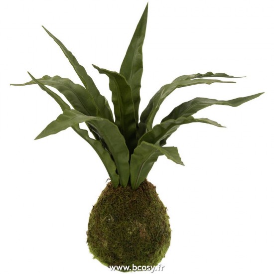 J Line Langue De Belle Mere Boule Terre Plastique Vert L40xB40xH30 Jline 12520 by Jolipa 12520