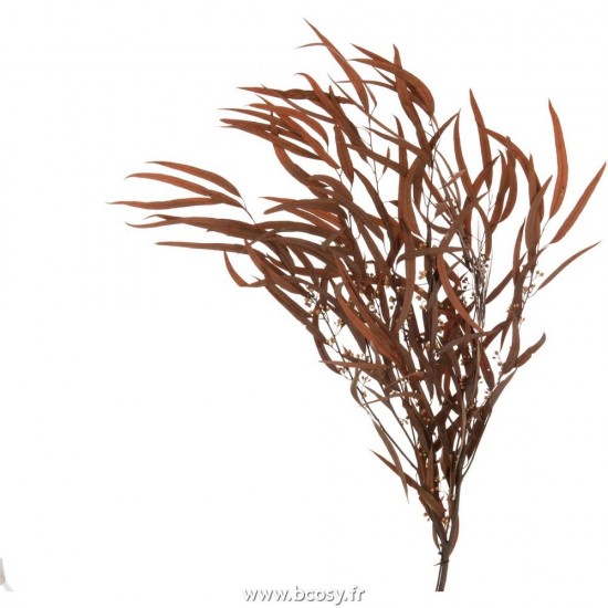 J Line Bouquet Eucalyptus Sauvage Seche Rouille L40xB40xH75 cm Jline 17652 by Jolipa 17652