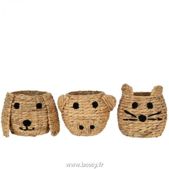 J Line Panier Chat Chien Cochon Jacinthe D'Eau Naturel L18xB18xH19 cm Jline 20825 by Jolipa 20825 Assortiment de 3 pcs