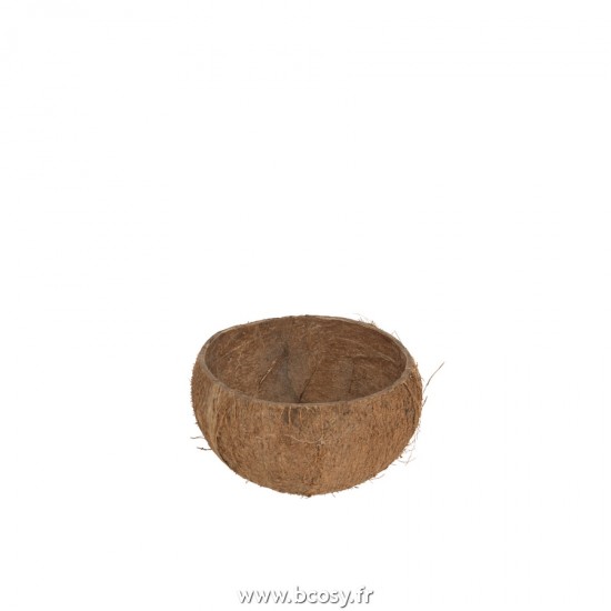 J Line demi Noix de Coco Brute L12xB12xH9 cm Jline 21182 by Jolipa 21182