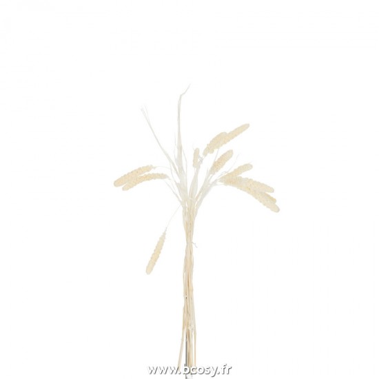 J-Line gazon décoratif Jolipa J Line Jline Bouquet Millet Seche Ecru