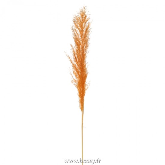 J Line Branche Plumes Pampas Orange Rouille L5xB3xH135 cm Jline 22469 by Jolipa 22469