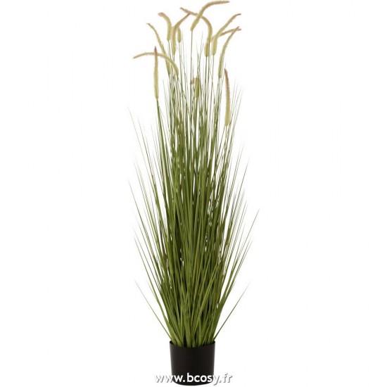 J-Line gazon décoratif Jolipa Jline Herbes Graminees En Pot Plastique Vert Large