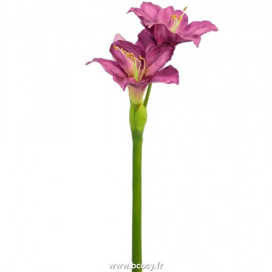 J Line Amaryllis Plastique Violet 86 Cm L15xB22xH86 cm Jline 28341 by Jolipa 28341