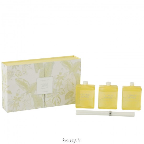 J-Line J Line diffuseurs de parfums Jolipa Boite 3 Huile Senteur Citrus Sense Jaune.
