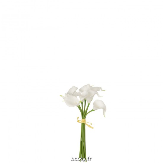 J Line Bouquet Calla Lily 8Pieces Plastique Blanc Small L20xB11xH37 cm JLine 32931 by Jolipa 32931.