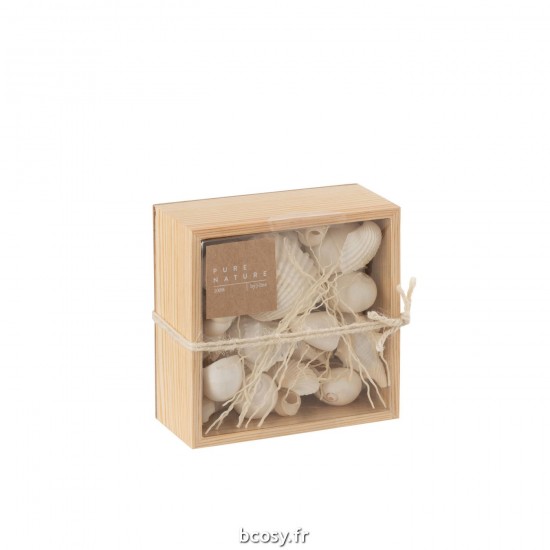 J-Line J Line Coquilles coquillage statuettes Jolipa Boite Carre Coquillages Blanc.
