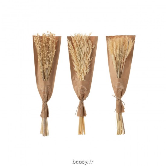 J-Line J Line fleurs séchées Jolipa Bouquet Fleurs Sechees Naturel Assortiment De 3.