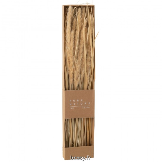 J Line Boite Herbes Sechees Naturel L12xB4xH60 cm JLine 33006 by Jolipa 33006.