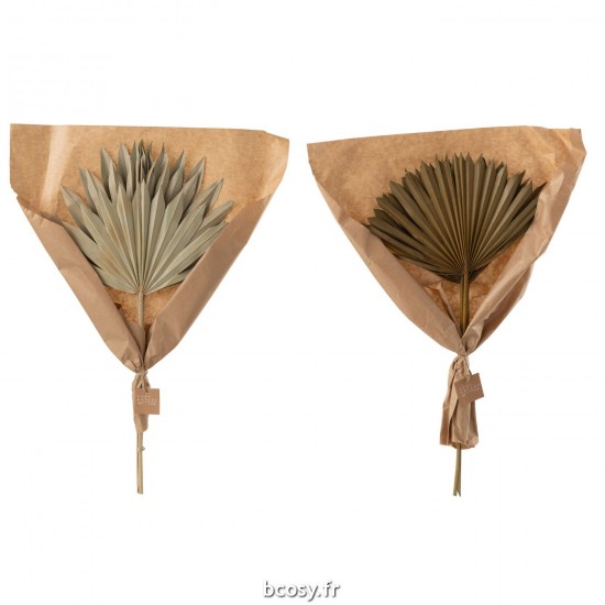J-Line J Line fleurs séchées Jolipa Feuilles Palmier Sechees 2 Pieces Vert Assortiment De 2.