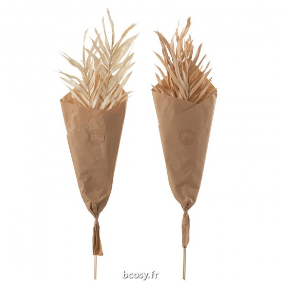 J-Line J Line fleurs séchées Jolipa Feuilles Sechees 2 Pieces Naturel Large Assortiment De 2.