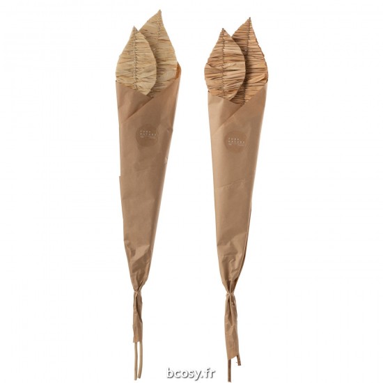 J-Line J Line fleurs séchées Jolipa Feuilles De Mais 2 Pieces Naturel Assortiment De 2.