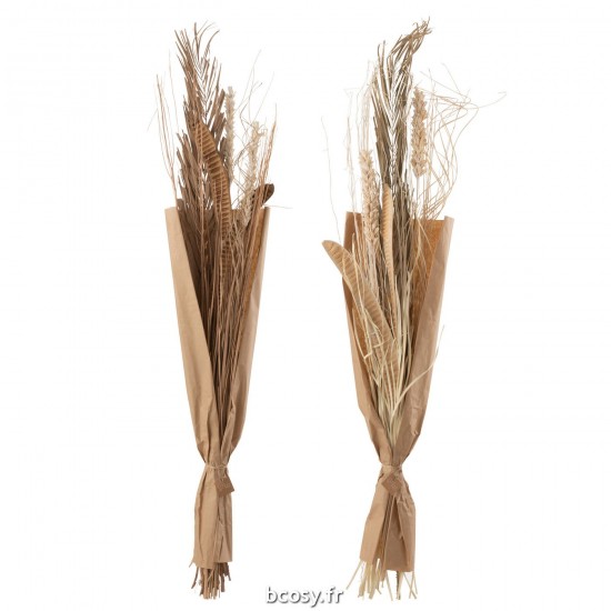 J-Line J Line fleurs séchées Jolipa Feuilles Sauvages Naturel Assortiment De 2.