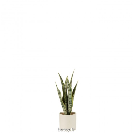 J Line Plant Sansevieria En Pot Pvc Vert Small L8xB8xH28 cm JLine 33020 by Jolipa 33020.
