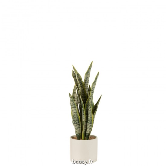 J Line Plant Sansevieria En Pot Pvc Vert Medium L10xB10xH36 cm JLine 33021 by Jolipa 33021.