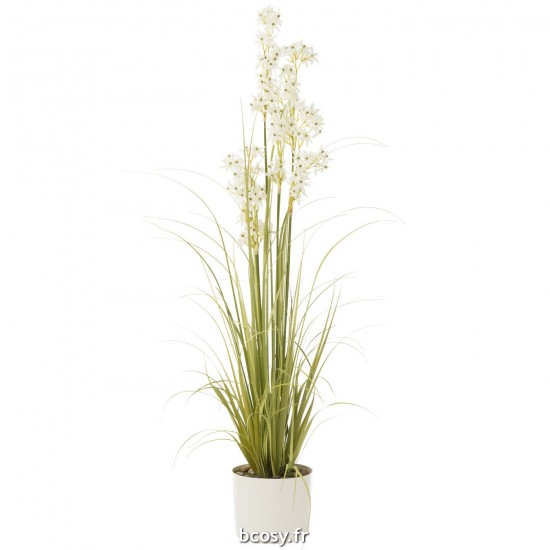J-Line J Line plantes en pot Jolipa Allium En Pot Plastique Vert Blanc Large.