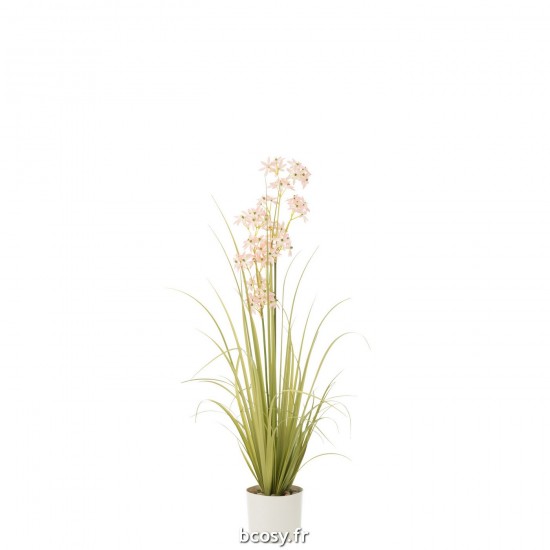 J Line Allium En Pot Plastique Vert Rose Clair Medium L18xB18xH116 cm JLine 33034 by Jolipa 33034.