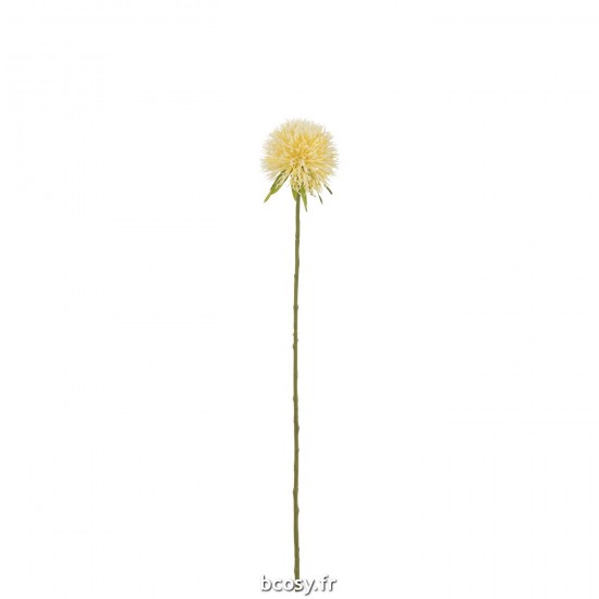 J Line Fleur Allium Plastique Jaune Clair S L44xB7xH6 cm JLine 33042 by Jolipa 33042.