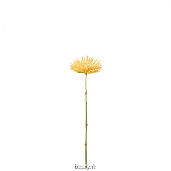 J Line Chrysantheme Mini Plastique Jaune Clair L41xB10xH5 cm JLine 33046 by Jolipa 33046.