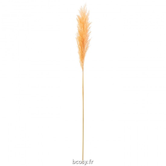 J Line Branche Plume Pampas Orange Clair L8xB3xH127 cm JLine 33213 by Jolipa 33213.