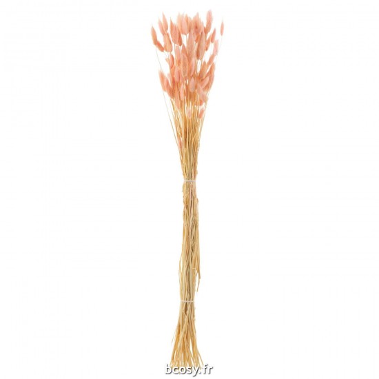 J Line Bouquet Queue De Lievre Seche Rose Clair L82xB15xH3 cm JLine 33215 by Jolipa 33215.