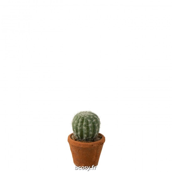 J Line Cactus Rond En Pot Plastique Vert L8xB8xH15 cm JLine 33342 by Jolipa 33342.