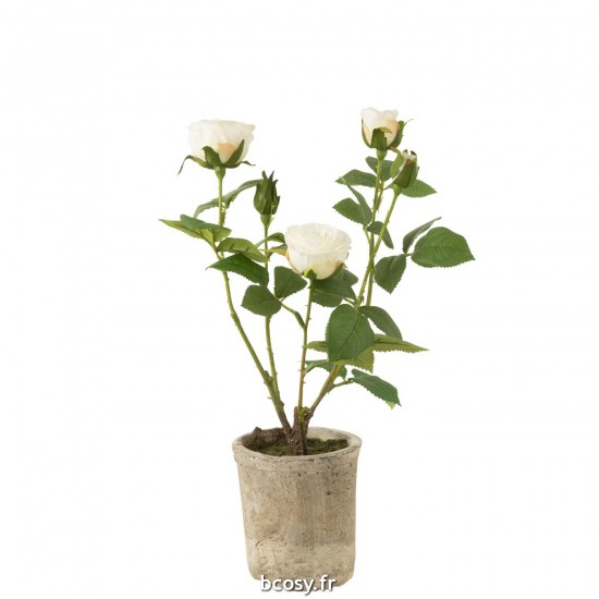 J Line Rose 5 Tetes En Pot Plastique Textile Blanc Vert L23xB23xH39 cm JLine 33347 by Jolipa 33347.