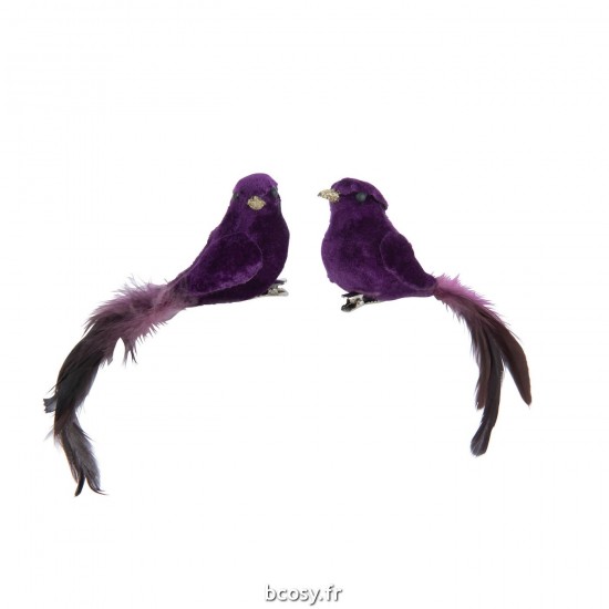 J Line Oiseau Clip Polyfoam Plumes Mauve JLine 36990 by Jolipa 36990 Assortiment de 2 pcs.