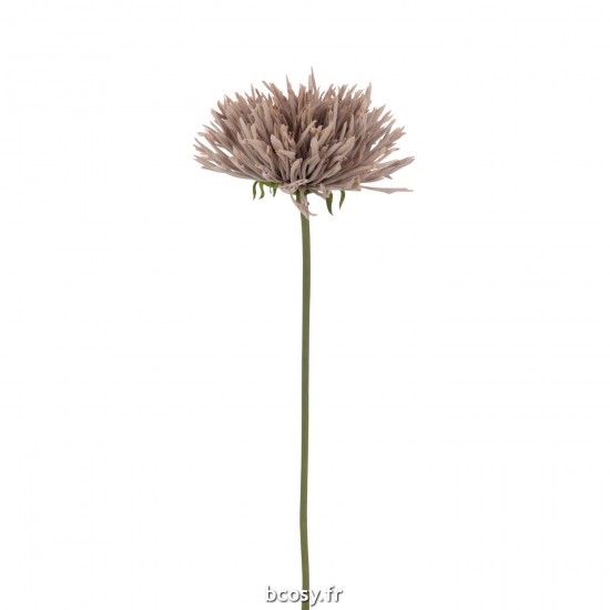 J Line Chrisantheme Plastique Gris Rose JLine 37596 by Jolipa 37596.