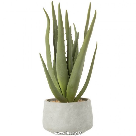 J Line Aloe+Pot Synthetique Vert Gris Small 35 Jline 4109 by Jolipa 4109