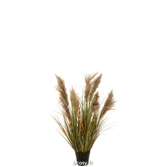J Line Herbe De Pampas 7 Têtes En Pot Pvc Vert Beige Small JLine 43822 by Jolipa 43822.