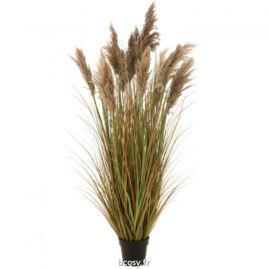 J-Line J Line Herbes Jolipa Herbe De Pampas 13 Têtes En Pot Pvc Vert Beige Large.
