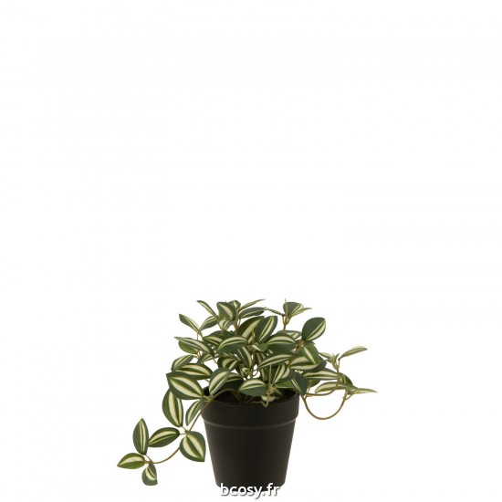 J Line Tradescantia En Pot Artificiel Vert Blanc JLine 43838 by Jolipa 43838.