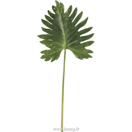 J Line Feuille Plastique Vert Fonce L106 Jline 93059 by Jolipa 93059