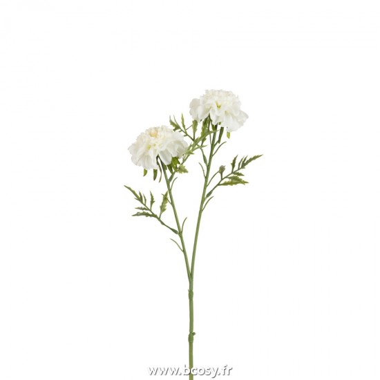 J-line 22039 Jolipa JLine fleurs rose