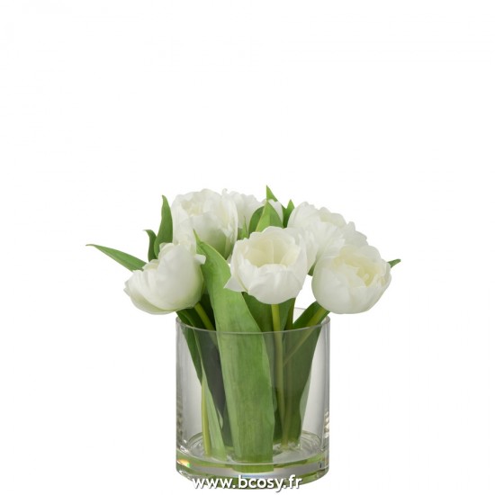 J-line 22401 Jolipa JLine fleurs plante en pot