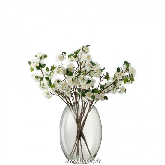 J-line 22406 Jolipa JLine fleurs plante en pot