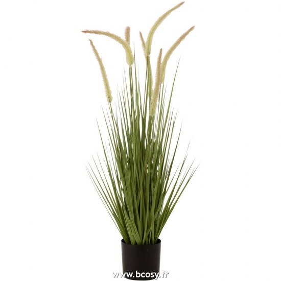 J-line 2740 Jolipa JLine fleurs herbe