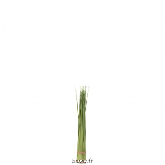 J-line 33027 Jolipa JLine fleurs herbe.