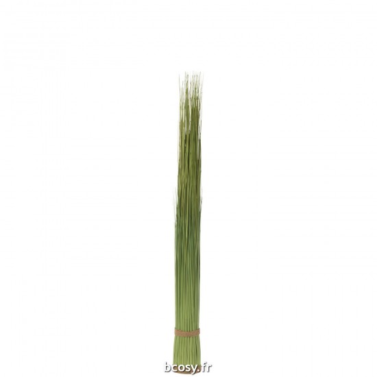 J-line 33028 Jolipa JLine fleurs herbe.