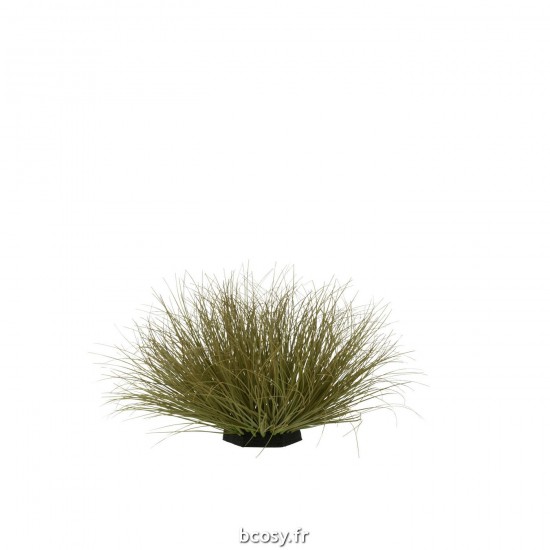 J-line 33106 Jolipa JLine fleurs herbe.