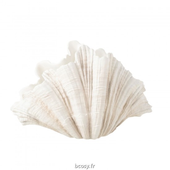 J-line 40543 Jolipa JLine objets deco nature.