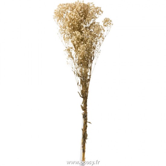 J-Line bouquets de fleurs Jolipa J Line Jline Bouquet Gypsophile Seche Ecru