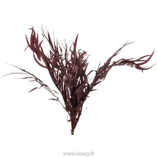 J-Line branches d'arbres Jolipa J Line Jline Bouquet Eucalyptus Sauvage Seche Bordeaux