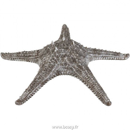 J-Line étoiles de mer Astéries statuettes Jolipa Jline Etoile De Mer Resine Gris Argent