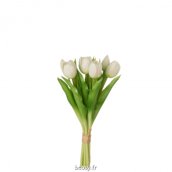J-Line J Line bouquets de fleurs Jolipa Bouquet Tulipes 7Pieces Pu Blanc Small.