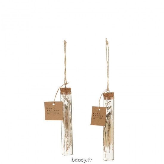 J-Line J Line pendeloques Jolipa Suspension Tubes Fleurs Sechees Verre Naturel Assortiment De 2.