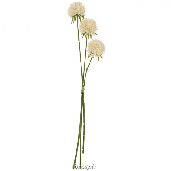 J-Line J Line plantes allium Plantes Aji Jolipa Fleur Allium 3 Pieces Plastique Blanc L.